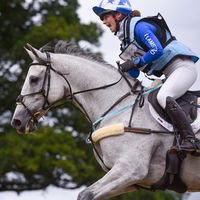 my_grey_ponies_