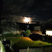 magui.magan