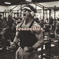 testoedits