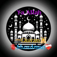 TikTok Account - adamco767