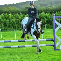 uk.showjumper