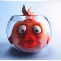 misterbulle4