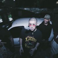 badbunnyprrr.fans