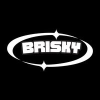 brisky.brisky