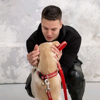 zoevagyok_danny.story2