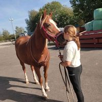 le._.cheval._.ma._.vie