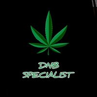 _dnbspecialist_