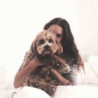 darcyspamm