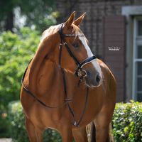 my.barbiepony.midas