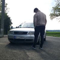 cernea23