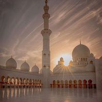 TikTok Account - https://p16-pu-ie.tiktokcdn-eu.com/tos-useast2a-avt-0068-euttp/8260d321329d5caadf0c5077aabaf0cb~tplv-tiktokx-cropcenter:200:200.jpeg