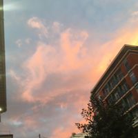 _repost__17