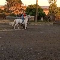 danielpiras6