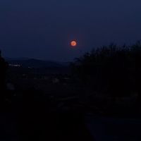 arianaaaaloketaferrer