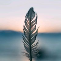 lifelonglessons20