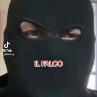 ilfalcoy