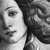 _venuslikesmusic