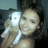 d3brev