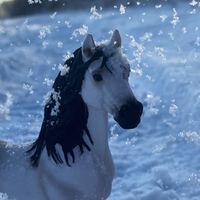 sunrise_stable_schleich