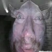 nigorfresse1