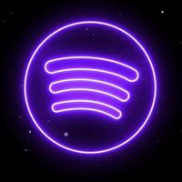 spotifyclip33