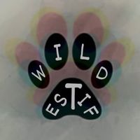 wildestif