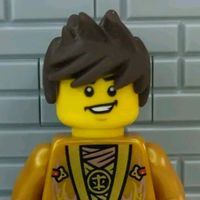 stary_fan_ninjago