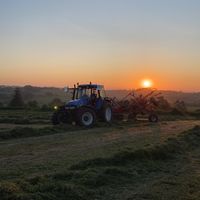 tom_oneill2019