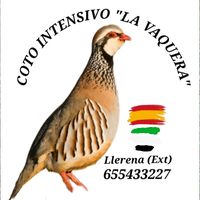 intensivo_lavaquera