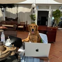 theremotegolden