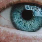 olhos0724