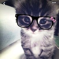 andra2_32