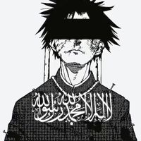 amir11.07lu