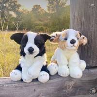 working_withdogs