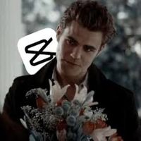 stefanforlifers