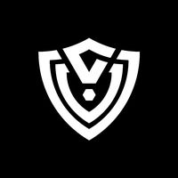 vvg.music.tiktok.01