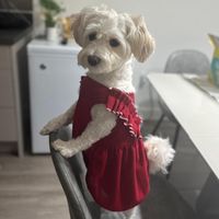 jessie.211222