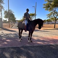 juanrodriguez29823