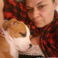 stella2603__