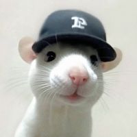 jahim_slu