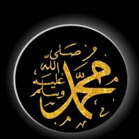 TikTok Account - sngletfier
