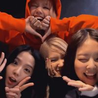blinkplli