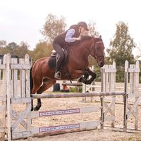 jade.lemonnier