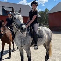 equi_vilna