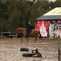 ir.equestriann