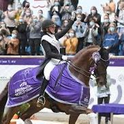 horse.lover152