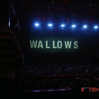 wallowsfanx_