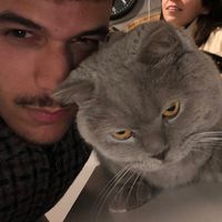 mbsilva99