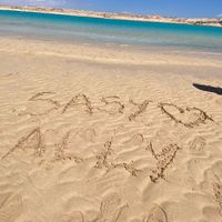 disattivato17.1