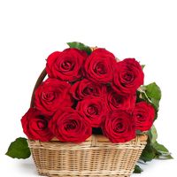 carmen71906